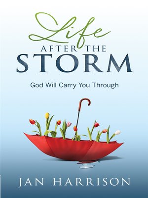 cover image of Life After the Storm